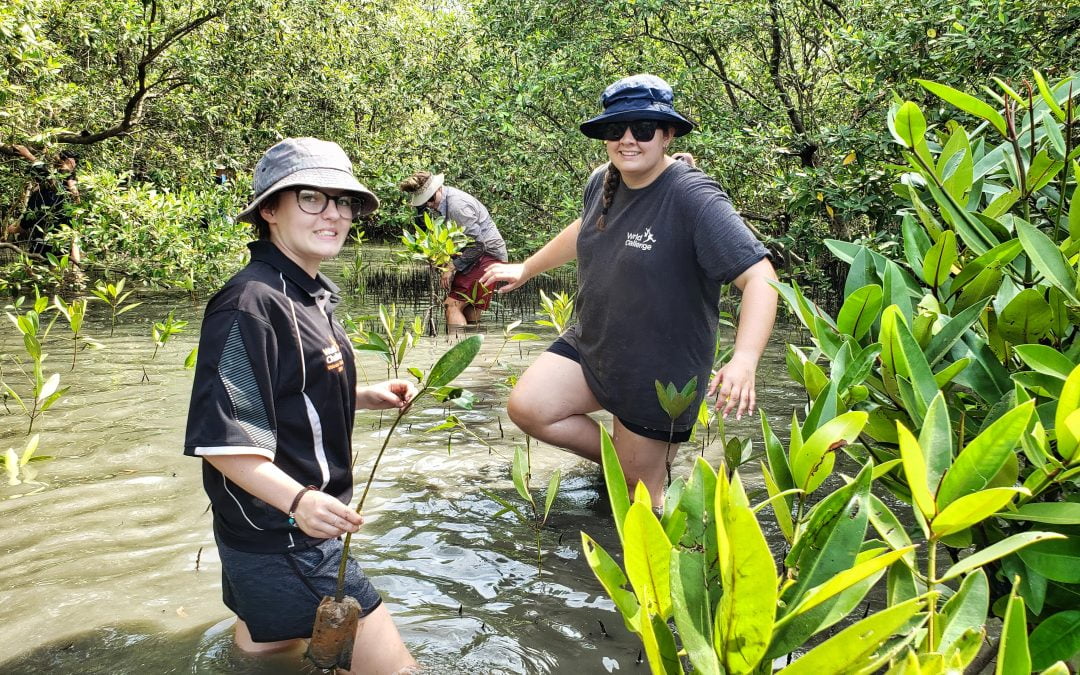 Mangrove Conservation and SUP