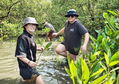 Mangrove Conservation and SUP